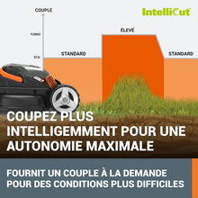Load image into Gallery viewer, Pack Pro+ Tondeuse à Gazon 40V 460m² + Coupe-Bordures 20V + 2 Batteries 4Ah et 1 Batterie 2Ah + Chargeur Double et Chargeur Simple (Idéal pour l'Entretien du Jardin)