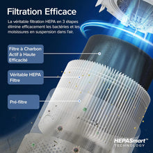 Load image into Gallery viewer, LEVOIT Purificateur d'Air HEPA Intelligent contre Allergie Pollen &amp; Graminée, Purifier jusqu'à 50㎡, Surveille La Qualité de l'Air, Contrôle par App Alexa, 22dB Silencieux, Core 300S