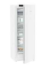 Load image into Gallery viewer, congélateur Armoire FNe5006-22